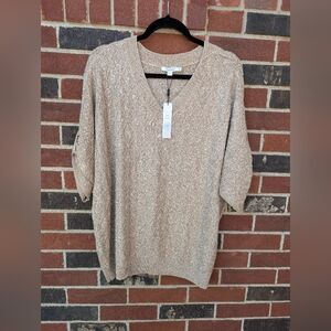 Chico's Metallic Beige V-Neck Blouse
